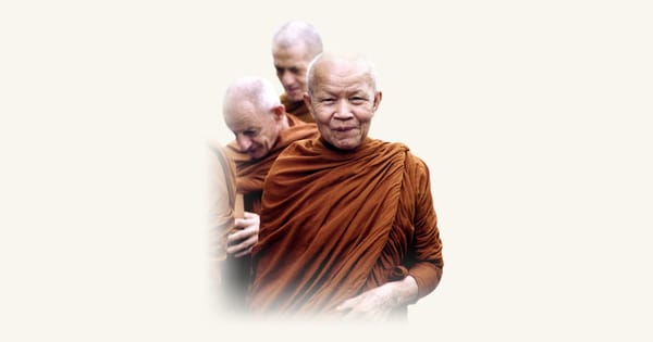 forestdhamma.org 소개