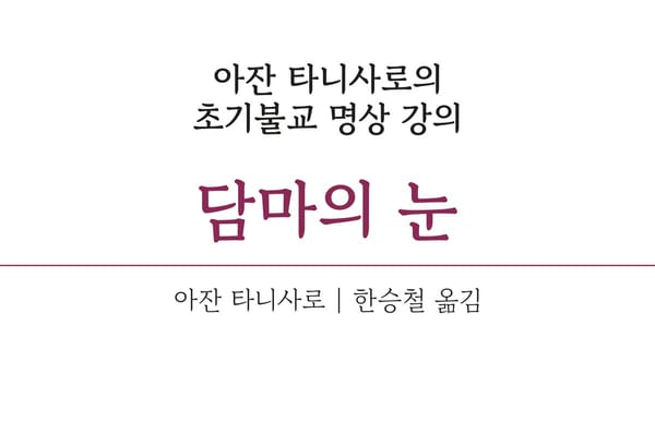담마의 눈